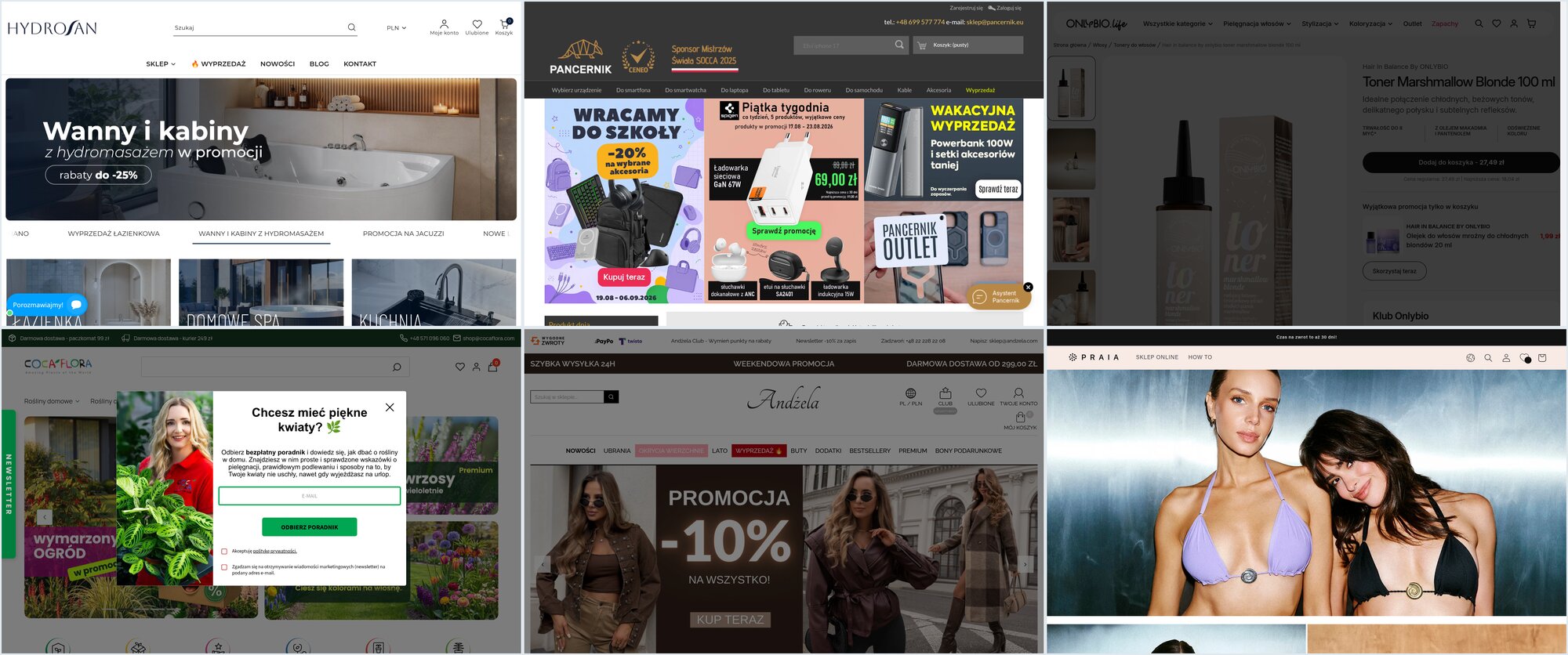 Strony gł&oacute;wne hydrosan.eu, pancernik.eu, onlybio.life, cocaflora.com, andzela.com i praiabeachwear.com