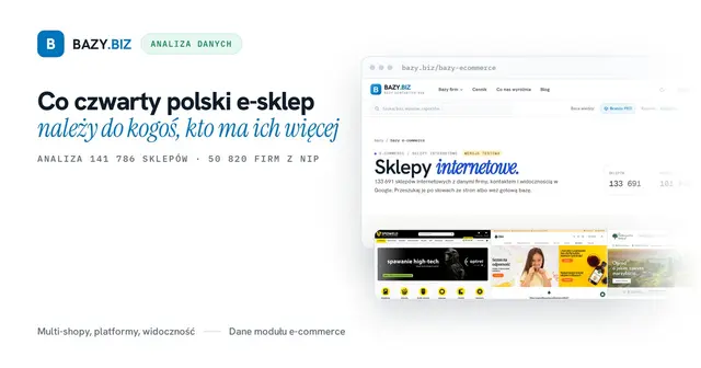 Co czwarty polski e-sklep należy do kogoś, kto ma ich więcej. Analiza 142 tysięcy sklepów internetowych