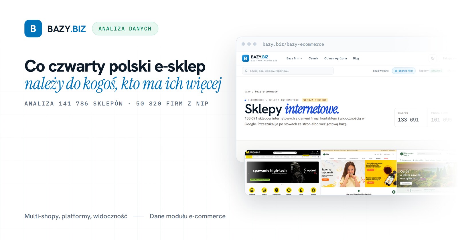 Co czwarty polski e-sklep należy do kogoś, kto ma ich więcej. Analiza 142 tysięcy sklepów internetowych