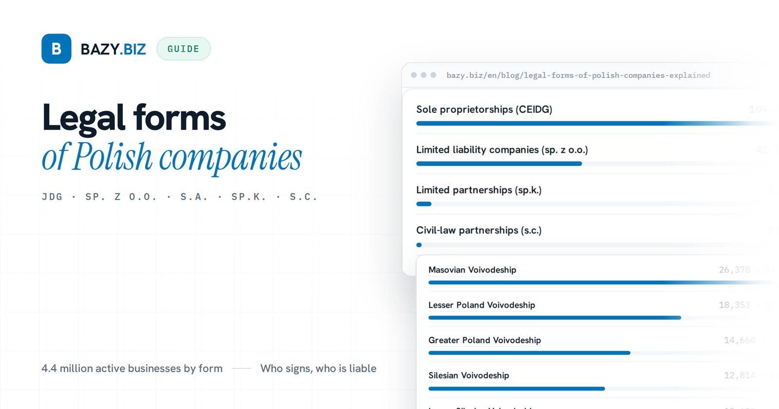 Legal forms of Polish companies: what sp. z o.o., S.A., JDG and the others mean for a foreign partner